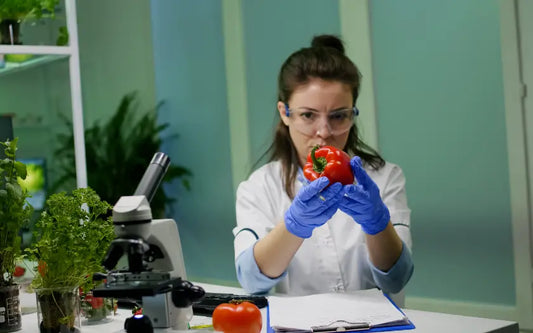 Food Safety Certificate